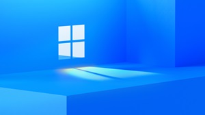   :    Windows 11 Home